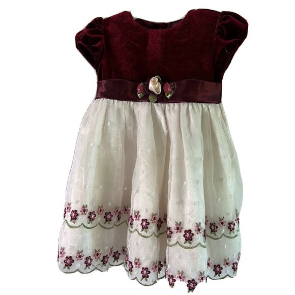 Youngland Baby Girls Dress Fit & Flare Party Velvet Formal Red Wine 24 Months